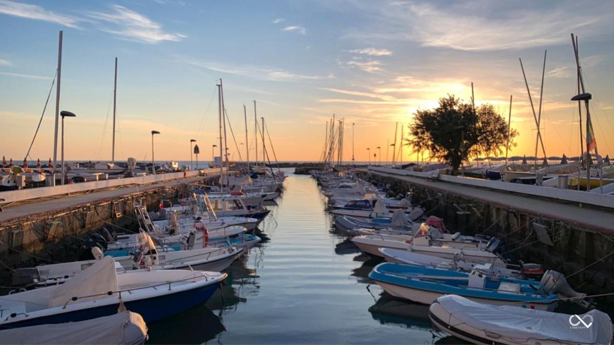 רימיני Hotel Acquamarina Viserba מראה חיצוני תמונה